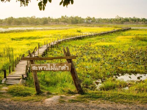 มหาสารคาม 13-15 มีนาคม 2026