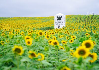 นครราชสีมา(โคราช) -7 มีนาคม 2026